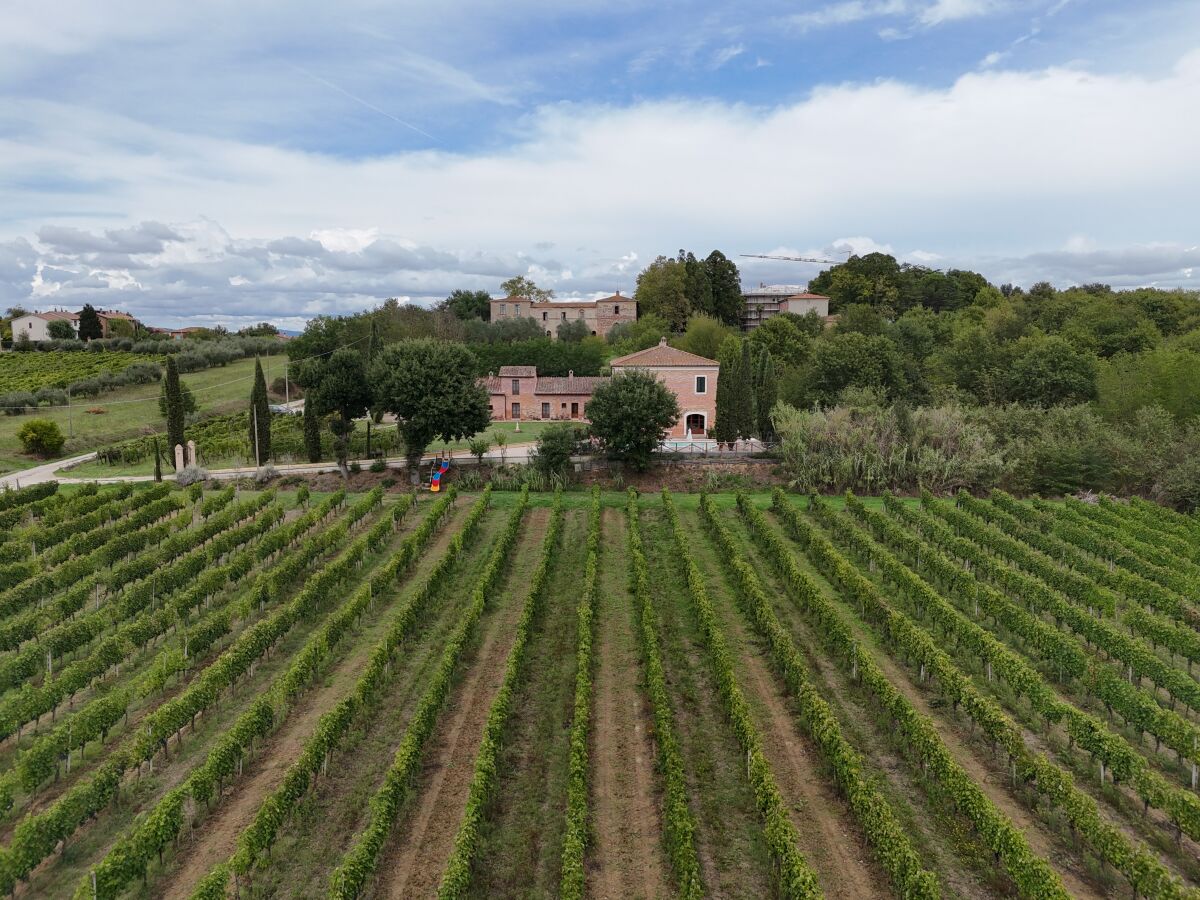 Holiday apartment Fornace del Conte - Vigneto - Outdoor photo 3