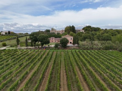 Holiday apartment Fornace del Conte - Vigneto - Outdoor photo 3