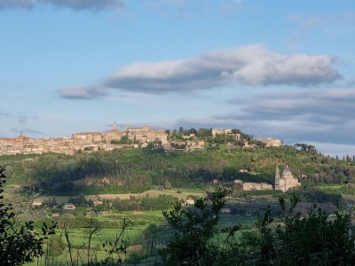 Holiday apartment Fornace del Conte - Vigneto - Environment photo 36