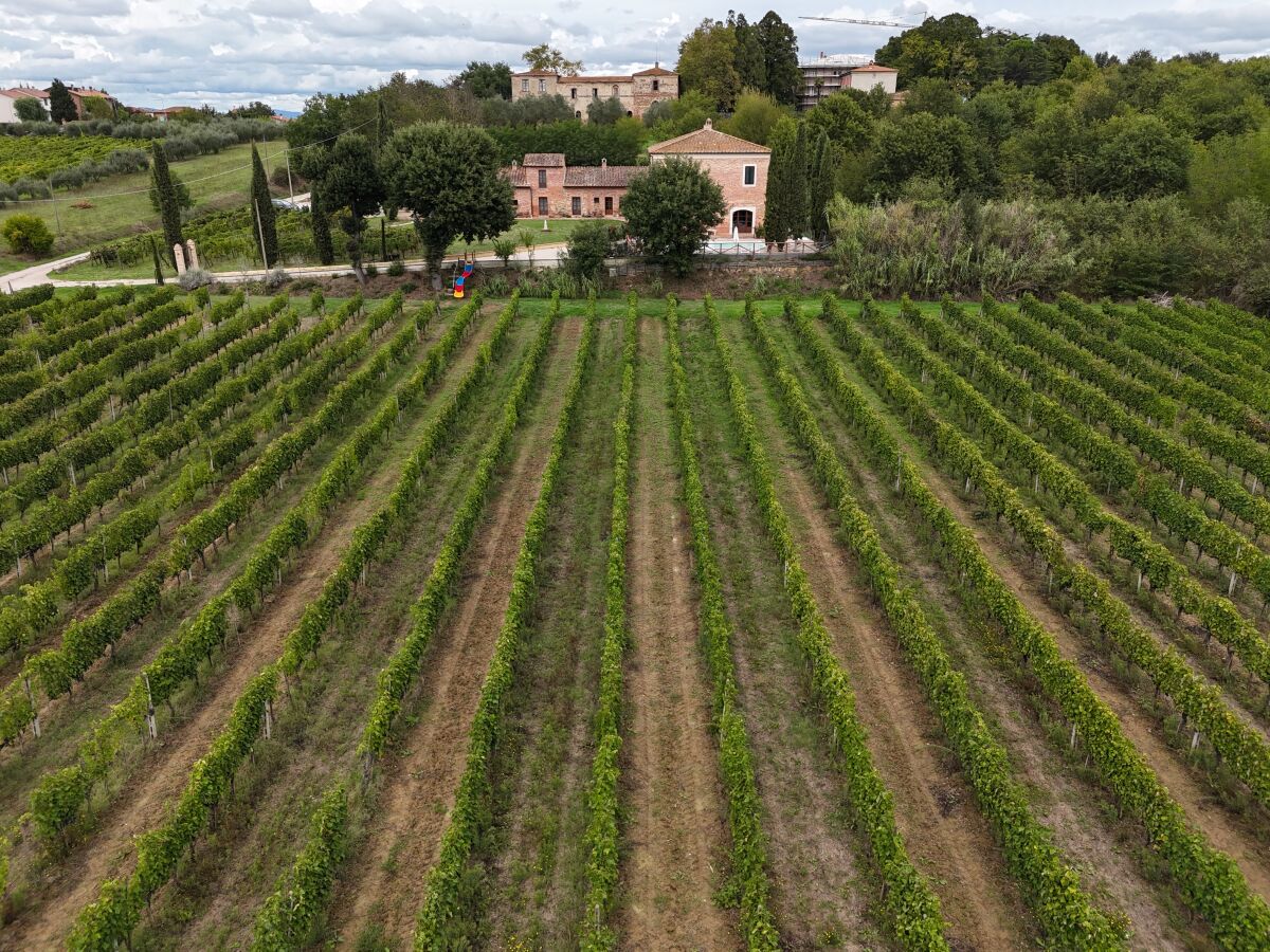 Holiday apartment Fornace del Conte - Elefantino - Outdoor photo 5