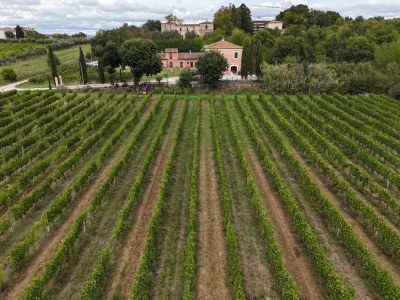 Holiday apartment Fornace del Conte - Elefantino - Outdoor photo 5