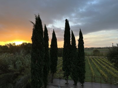 Holiday apartment Fornace del Conte - Elefantino - Environment photo 34