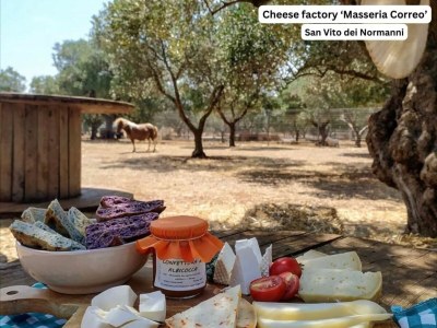 Holiday house 20m from the beach, Puglia - Environment photo 23