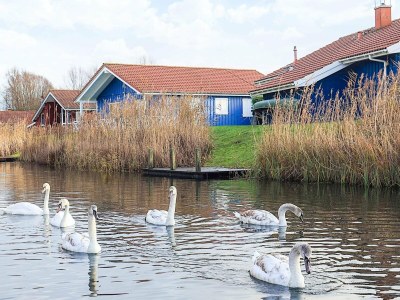 Holiday house 4 star holiday home in Ottendorf - Outdoor photo 15