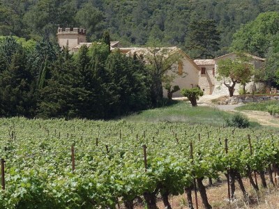 Holiday apartment Domaine de Monteils - Outdoor photo 13