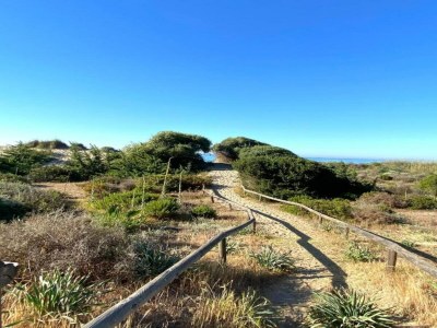 Apartment Apartment in Elviria near Marbella Beach - Environment photo 18