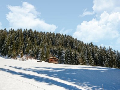 Chalet Almhütte Nase auf 1700m im Zillertal - Outdoor photo 24