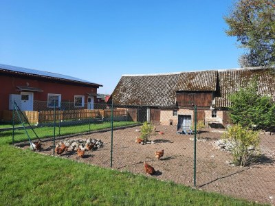 Apartment Haustierfreundliche Ferienwohnung in der Oase am Vilzsee - Outdoor photo 26