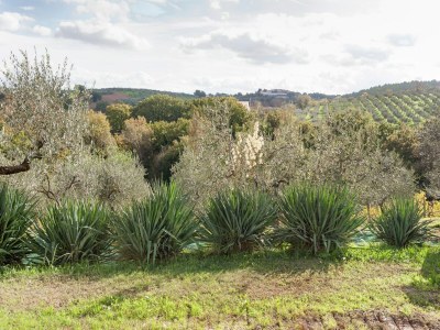 Farmhouse Farmhouse in Giano dell'Umbria - Environment photo 31