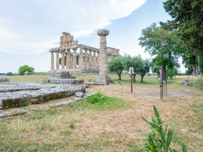 Villa Villa with Pool in Paestum - Environment photo 34