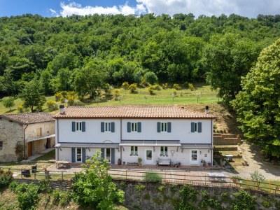 Holiday house Casa del Tiglio in Borgo San Lorenzo - Holiday house