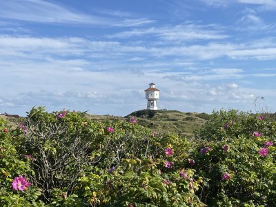 Holiday apartment No title - Environment photo 14