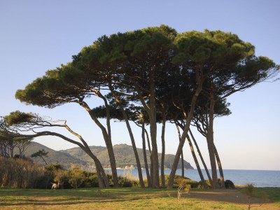 Holiday house Stellino - Environment photo 15