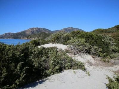 Apartment Sardinian-style apartment near beach - Environment photo 23