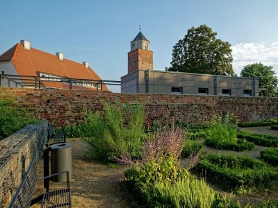 Apartment Maisonette im Taunus mit Terrasse und Wanderwegen - Environment photo 39