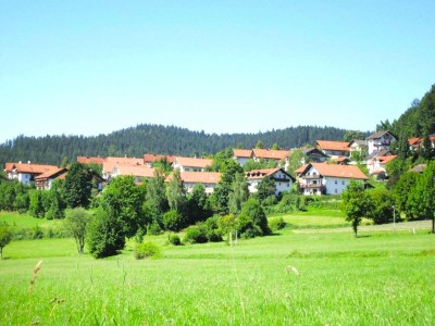 Apartment Wohnung in Bodenmais nahe Grosser Arber - Environment photo 22