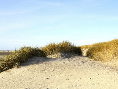 Apartment Ferienwohnung in St. Peter-Ording - Environment photo 13