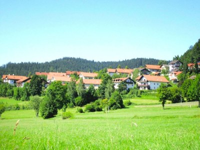Apartment Wohnung in Langdorf bei Skiloipen - Environment photo 21