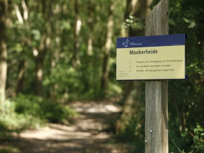 Holiday park Romantic Bungalow in Mook - Environment photo 34