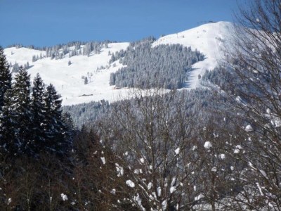 Chalet Chalet in Saalbach near Ski Lift - Environment photo 29