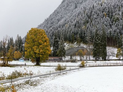 Chalet Chalet in Saalbach near Ski Lift - Environment photo 22