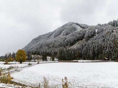 Chalet Chalet in Saalbach near Ski Lift - Environment photo 23