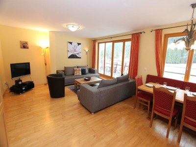 Chalet Detached Chalet in Saalbach - Features photo 10