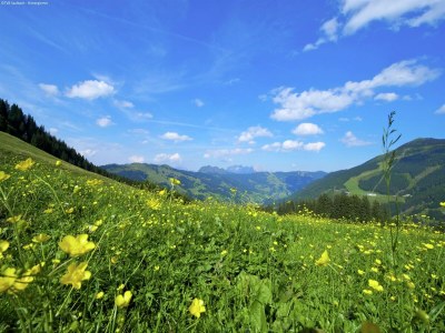 Chalet Detached Chalet in Saalbach - Environment photo 23