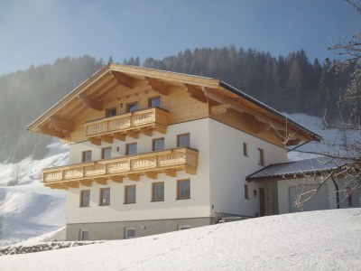Holiday apartment Stapfgut - Outdoor photo 4