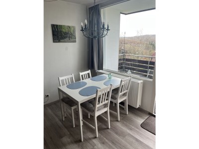 Holiday apartment Tinharz - Features photo 8