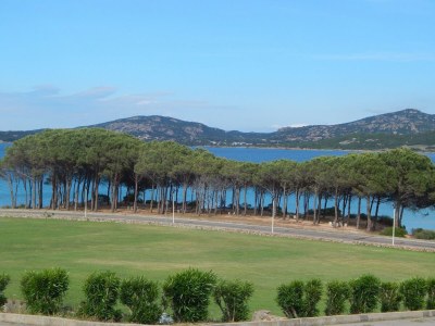 Holiday park Studio in Cannigione - Environment photo 24