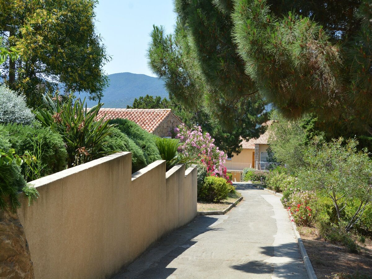 Holiday house Apartment in Serra-di-Ferro with Bay Views - Outdoor photo 2