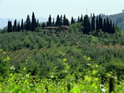 Holiday house Ferienhaus im Chianti mit Pool und Blick auf die Weinberge - Environment photo 19