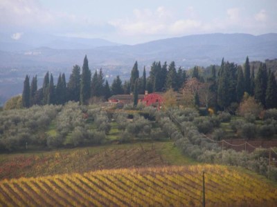 Holiday house Ferienhaus im Chianti mit Pool und Blick auf die Weinberge - Environment photo 23