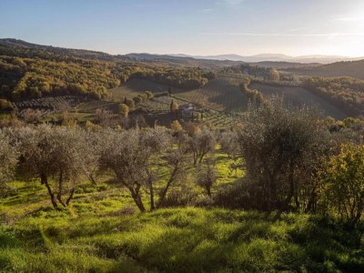 Apartment Holiday Home in Chianti with Pool & Garden - Environment photo 10