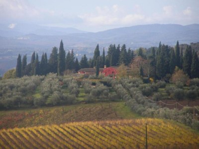 Apartment Holiday Home in Chianti with Pool & Garden - Environment photo 16