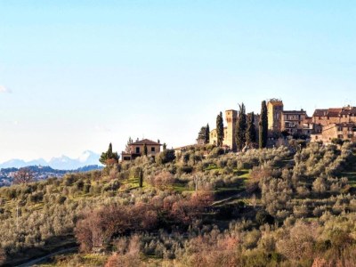 Apartment Holiday Home in Chianti with Pool & Garden - Environment photo 19