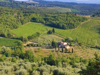 Apartment Holiday Home in Chianti with Pool & Garden - Environment photo 34