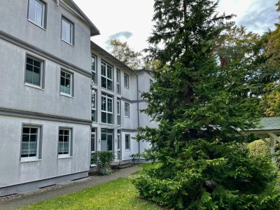 Holiday apartment Haus am Buchenpark 11 - Outdoor photo 4