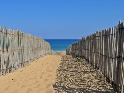 Holiday house Labenne-Océan direkt am Atlantikstrand - Environment photo 19