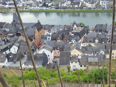 Apartment Fewo Moselschwalbe 3. OG in Zell (Mosel) - Apartment