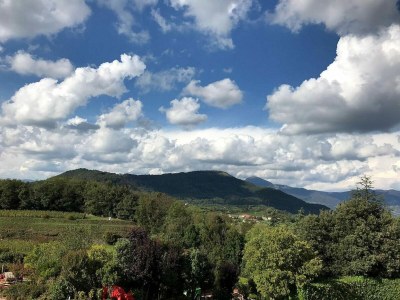 Apartment Apartment in Iseo with Pool - Environment photo 28