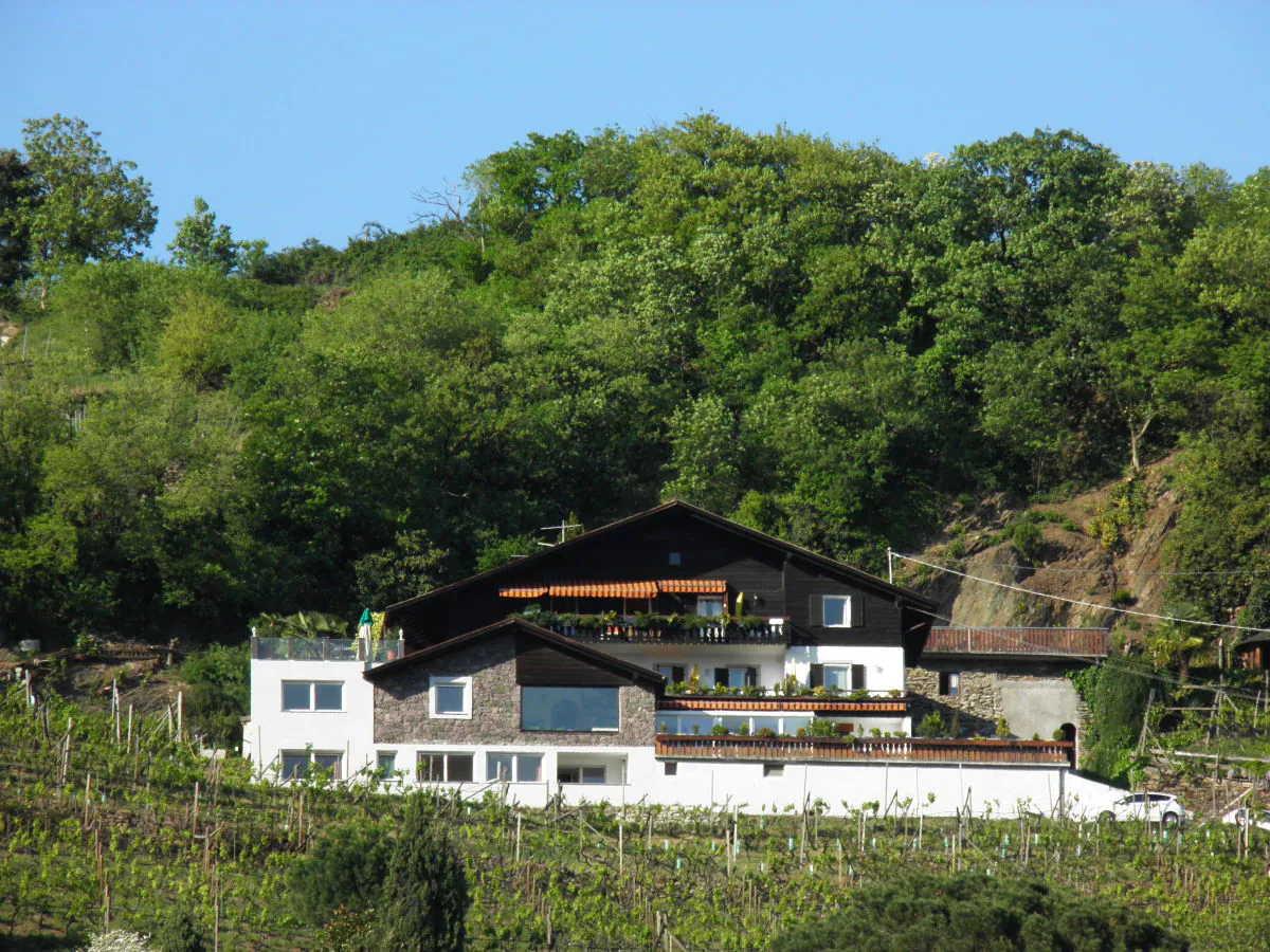 Holiday apartment Country House Apartment - Weingut Linter