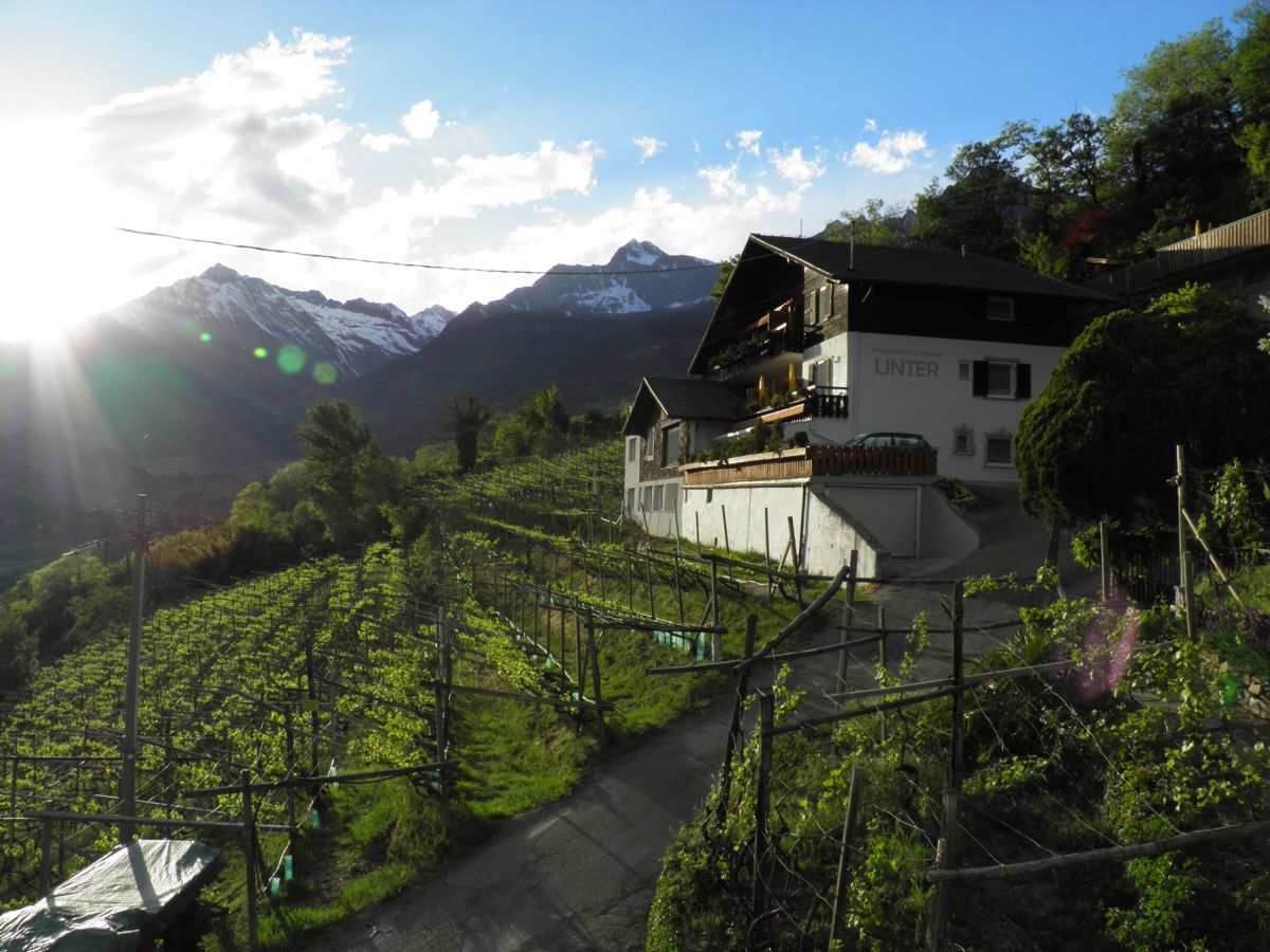 Holiday apartment Country House Apartment - Weingut Linter - Outdoor photo 2