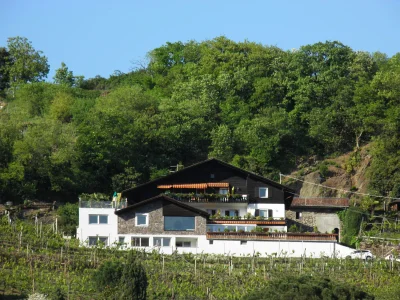 Holiday apartment Country House Apartment - Weingut Linter in Dorf Tirol - Holiday apartment