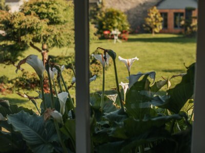 Holiday house La cabane de Charlotte 1 - Outdoor photo 7