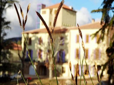 Apartment Eleganter Aufenthalt im Château Spa - Outdoor photo 35