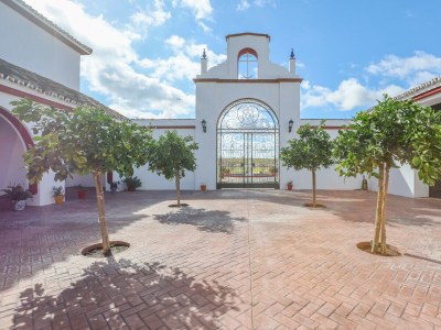 Holiday house Montecristo 4 - Outdoor photo 8