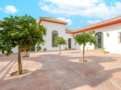 Holiday house Montecristo 4 - Outdoor photo 33