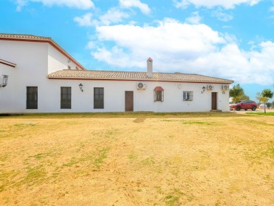 Holiday house Montecristo 4 - Outdoor photo 34